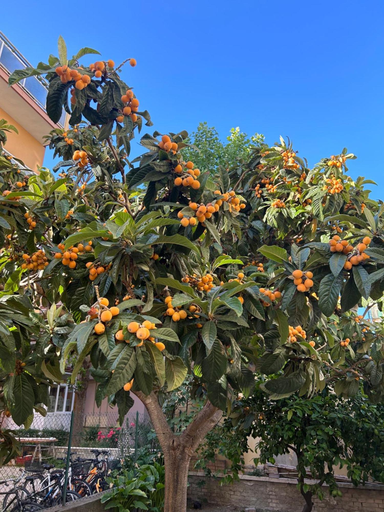 Appartamento Zona Residenziale, Due Passi Dal Mare Pescara Kültér fotó